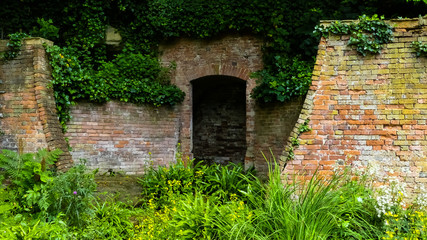 Landscape image of an old abandoned brick structure reclaimed by nature. With ivy (hedera) covering and natural wildflowers in the foreground. Space for copy. England.