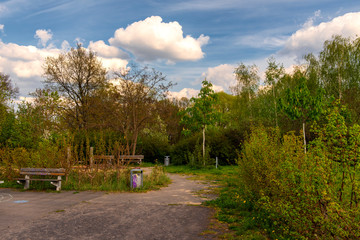 abandoned parking lot at the edge of the forest