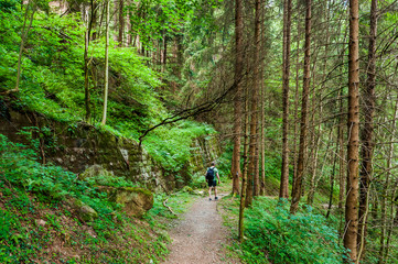 Dorf Tirol, Tirolerweg, Tiroler Kreuz, Wald, Waldweg, Wanderweg, Wanderer, Wasserfall, Vinschgau, Südtirol, Sommer, Italien