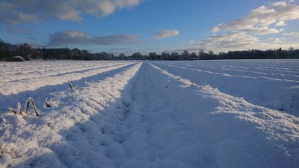 Schnee Feld
