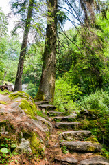 Tiroler Kreuz, Wasserfall, Finelebach, Wald, Waldweg, Wanderweg, Dorf Tirol, Vinschgau, Südtirol, Sommer, Italien
