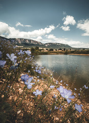 Fototapete bei efototapeten.de bestellen   