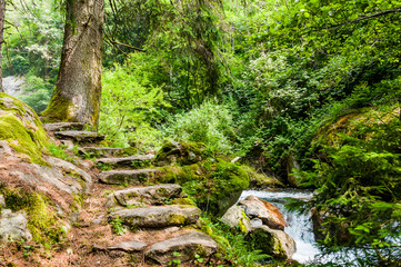 Dorf Tirol, Tirolerweg, Tiroler Kreuz, Wasserfall, Wanderweg, Steintreppe, Wald, Spronserbach, Vinschgau, S&uuml;dtirol, Sommer, Italien