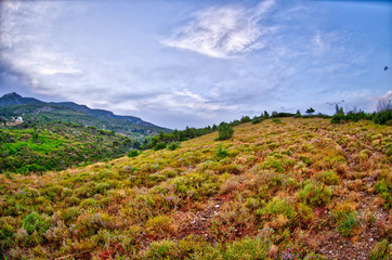 low vegetation Mediterranea Greece Athens mountain cloudy sky