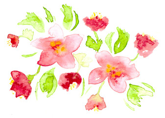 flowers isolated on white background texture watercolor handmade