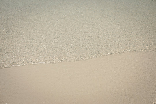 Sungrass Images – Browse 52 Stock Photos, Vectors, and Video | Adobe Stock