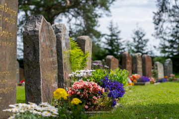 Curved row of grave stones in sunlight with colorful flowers