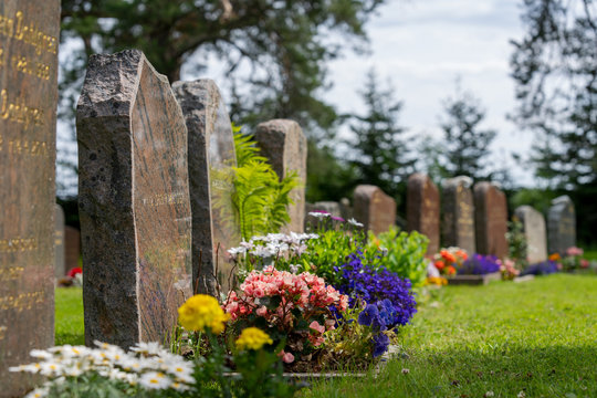 Curved row of grave stones in sunlight with colorful flowers
