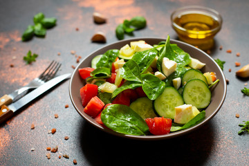 Fresh vegetable salad with mozzarella and basil served with olive oil and sea salt. Mediterranean, Spanish, Italian cuisine. Close-up. Copy space