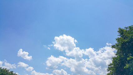beautiful background of clouds and trees, clearly visible lines of white clouds and blue sky, above the sunbeam