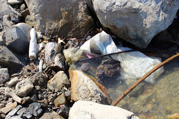 environmental pollution. Plastic waste in the sea and mousse.