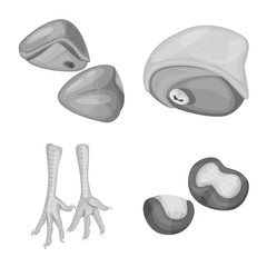 Vector design of cuisine and bird sign. Set of cuisine and poultry vector icon for stock.