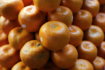 Asian farmer's market selling fresh fruits in Kolkata, India