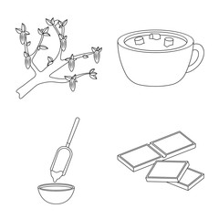Vector illustration of cocoa and beans icon. Set of cocoa and sweetness stock vector illustration.