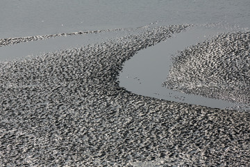 Mud beds on the river Malta during low tide the water in the Canning Town, India