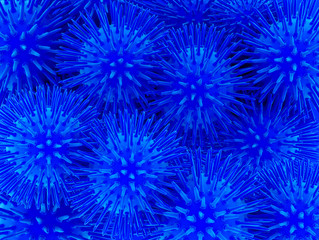 Fantastic dark blue spherical flowers - Illustation 3d rendering