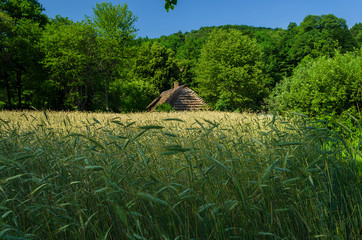 Wioska chata © wedrownik52