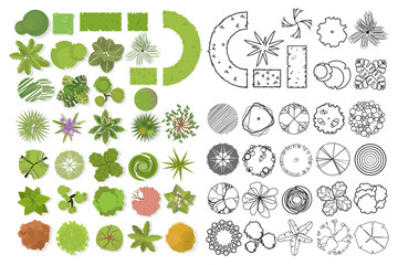 Trees top view. Different trees, plants vector set for architectural or landscape design. Set of linear and color flat  illustration
