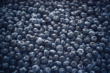 close up of fresh blueberries as background. Concept of healthy and dieting eating