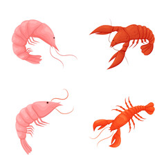 Isolated object of shrimp and crab logo. Collection of shrimp and sea vector icon for stock.