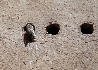 Ruins in Marrakesh, in Morocco, in Africa