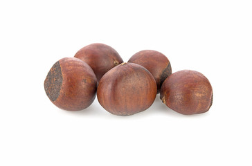 Chinese chestnut isolated on a white background