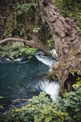D&uuml;den Waterfalls