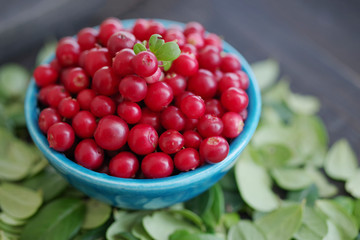 Fresh juicy cowberry in a blue bowl on a wooden surface, soft focus
