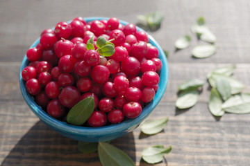 Fresh juicy cowberry in a blue bowl on a wooden surface, soft focus
