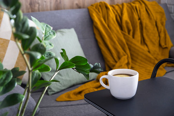 Homely comfort with a gray sofa and subdued light
