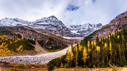 View of peaks in the Rocky Mountains at the Plain of Six Glaciers near the Victoria Glacier. Viewed from the hiking trail from the Teahouse to Plain of Six Glaciers at Lake Louise, Banff National Park