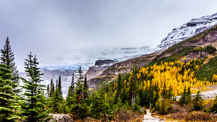 Panele Szklane  Widok na lodowiec Victoria widziany ze szlaku turystycznego z herbaciarni Plain of Six Glacier do lodowców w Lake Louise, Park Narodowy Banff