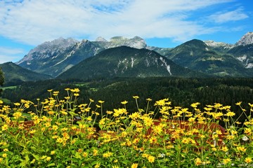 Austrian Alps-view on the massif of Dachstein from Haus im Ennstal