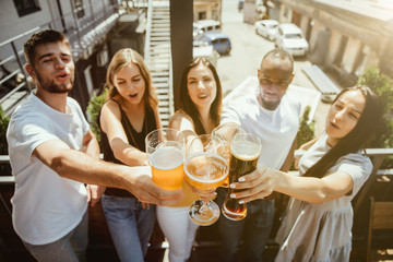 Young group of friends drinking beer, having fun, laughting and celebrating together. Women and men with beer's glasses in sunny day. Oktoberfest, friendship, togetherness, happiness, summer concept.