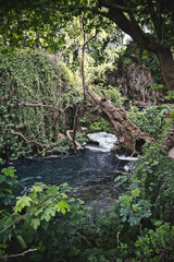 D&uuml;den Waterfalls