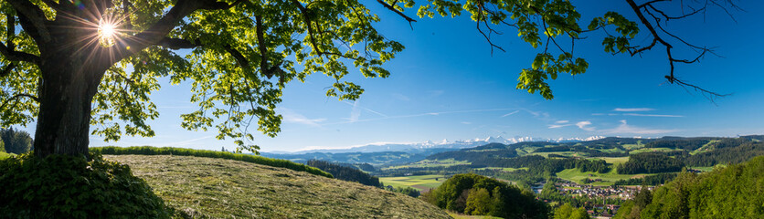 Aussicht vom Emmental Richtung Berner Alpen
