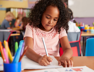 Concentrating Female Elementary School Pupils Working At Desk