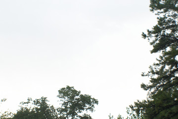 View of Lake Texoma in the Summer