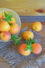 Delicious,sweet apricots and a sprig of mint on the burlap.
