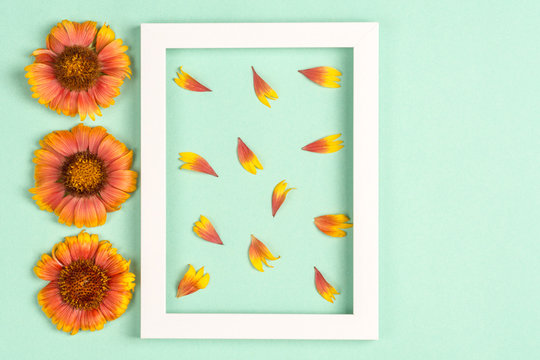Orange flowers and petals, photo frame on a mint background. Top view, copy space. Flat lay