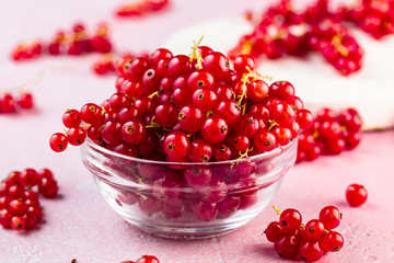 close-up view of fresh red currants in glass bowl on pink background