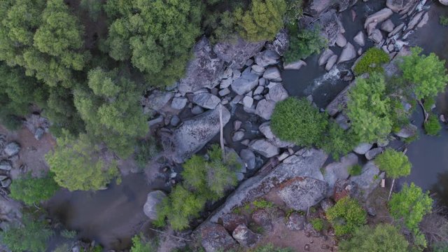 Aerial Top Down Drone Shot Ascending from  a River in the California Wilderness (Fresno River, Oakhurst, California)