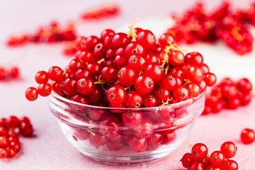 close-up view of fresh red currants in glass bowl on pink background