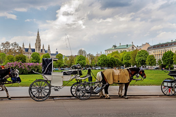 Carriage with a horse in Vienna square. Austria.