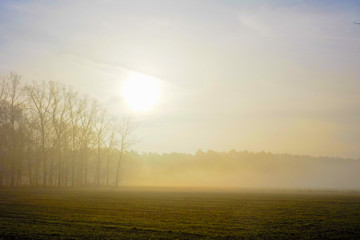 Fototapeta na wymiar Misty countryside sunrise