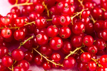 Fresh red currant berries
