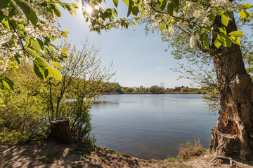 Malchower See in Berlin