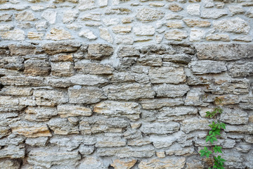 Stone wall texture background.