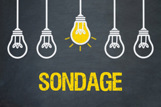 1 8 Best Sondage Images Stock Photos Vectors Adobe Stock