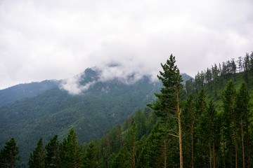 mountain peaks in misty clouds